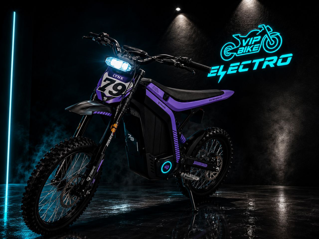 79BIKE Falcon Lynx Purple